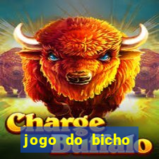 jogo do bicho tipos de apostas